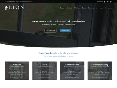 Lion Windows website concept bold design dark graphics site trade website web development website