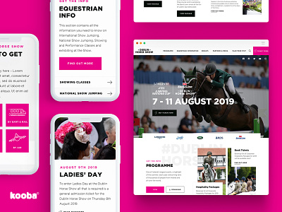 RDS Dublin Horse Show design dublin horse racing ui use interface ux web website