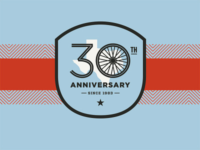 Bike Jersey 30th anniversary cycling jersey