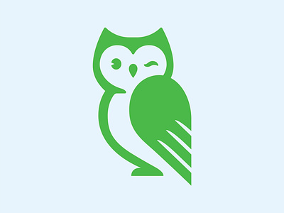 Owl Winks branding owl