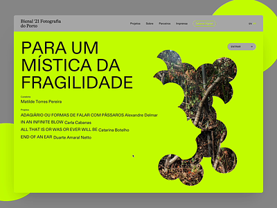 Porto Photography Bienal 2021 - Digital Gallery artist design graphic interaction interface photography slide typography ui ux web web design