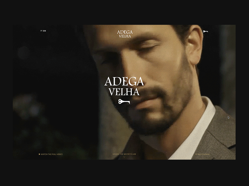 Adega Velha - Homepage Hero Transition