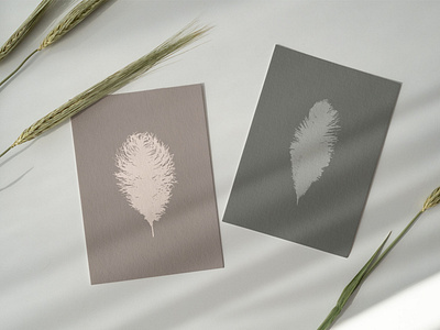 Feathers cards.