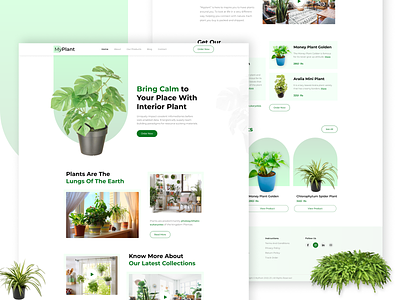 Plants Shop design plants plants shop plants ui plants website ui web layout website layout