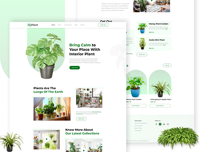 Plants Shop