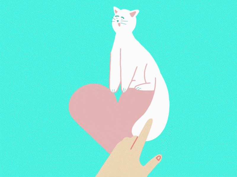 Cat: instruction manual 📖 2d after effects animal animation cat catlovers cuddles cuddling flatdesign hand handanimation heart hug illustration illustrator love motion design pet petlovers vector