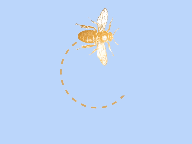 The bee loader animation bee loader web design
