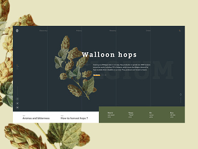 Walloon hops - Homepage beer belgium homepage hops