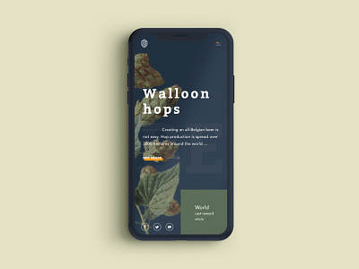 Homepage Walloon hops on iphone X