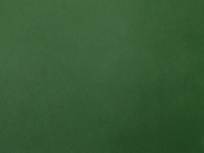 Green poker table felt by André Neves on Dribbble