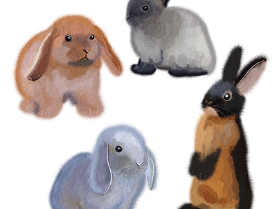 Watercolor rabbits animal illustration watercolor