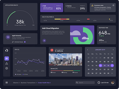 AppDynamics - Dark Them UI Elements Design