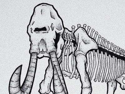 Mammoth Illustration achromatic bones gray illustration ink mammoth pen skeleton stippling texture