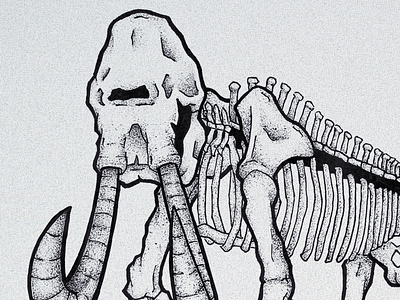 Mammoth Illustration