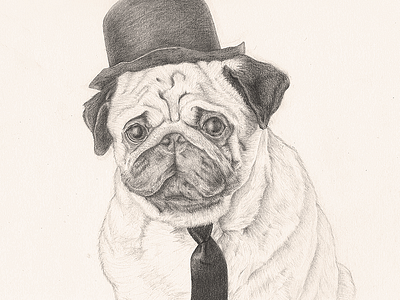 Pug Sketch art detail dog drawing pencil pug sketch tie