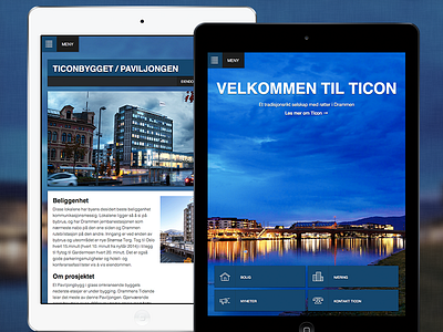 Ticon website redesign adaptive blue graphic redesign responsive web design