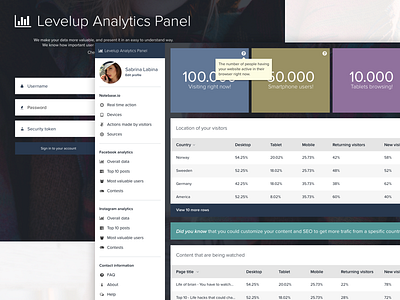 Levelup Analytics Panel analytics app application data design development graphic web web design web development