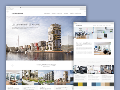 (Concept) Real Estate project apartments business clean house real estate site web web site