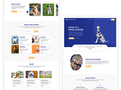 Pawndation - Non-profit website design animal nonprofit shelter ui uiux uiuxdesign ux webdesign website concept website design wordpress