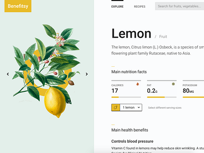 Benefitsy benefits clean design flat food fruit lemon nutrition stats vegetable web webdesign yellow