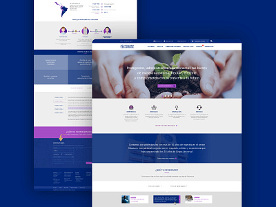 Fiduciaria Universal Webite fiduciary finance usertesting ux design web design