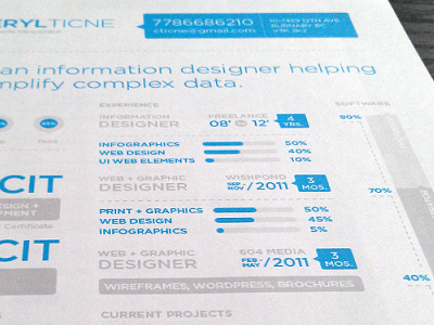 Infographic Resume Sample bars blue data graphic design infodesign infographic numbers print resume simplify typography