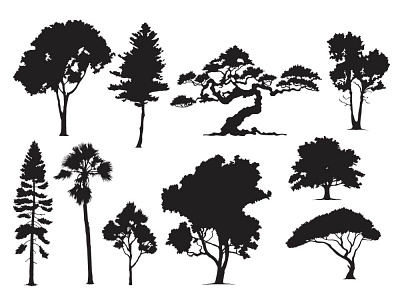 Trees silhouettes. forest and park pines firs and spruces cartoon tree