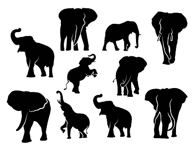 Elephant set vector illustration silhouettes set