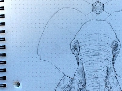 Elephoctopus sketch elephant octopus sketch