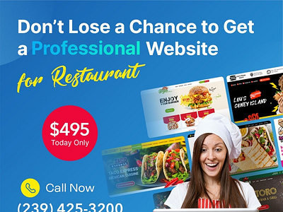Don`t Lose a Chance to Get a Professional Website design graphic design website website design