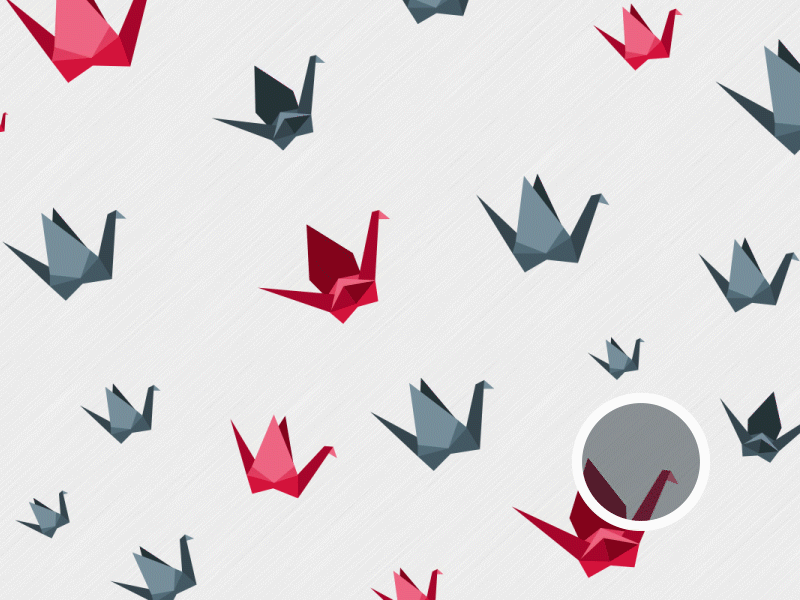 I like a bird animation background bird motiondesign origami