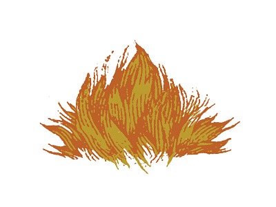 Flame Dribbble