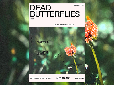 ‘Dead Butterflies’ 🦋 and ‘Meteor’ ☄️ Single Posters architects band brutalism dead butterflies death death metal fttwte graphicdesign merch meteor minimal poster type typography