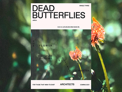 ‘Dead Butterflies’ 🦋 and ‘Meteor’ ☄️ Single Posters