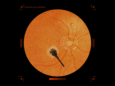 Fundus_Oculi brutalism circle design eye fundus oculi graphic horror minimal print marks red surgey type