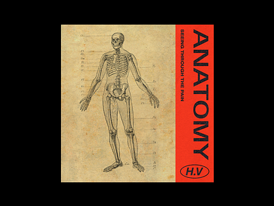 Anatomy anatomy brutalism design graphic illustration line minimal poster red skeleton type typography