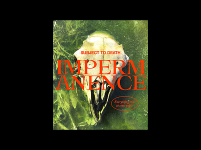 IMPERMANENCE algae death design graphic minimal photography poster red sheep skull type typography