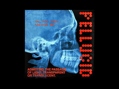 Pellucid brutalism design graphic minimal poster skull type typography x ray