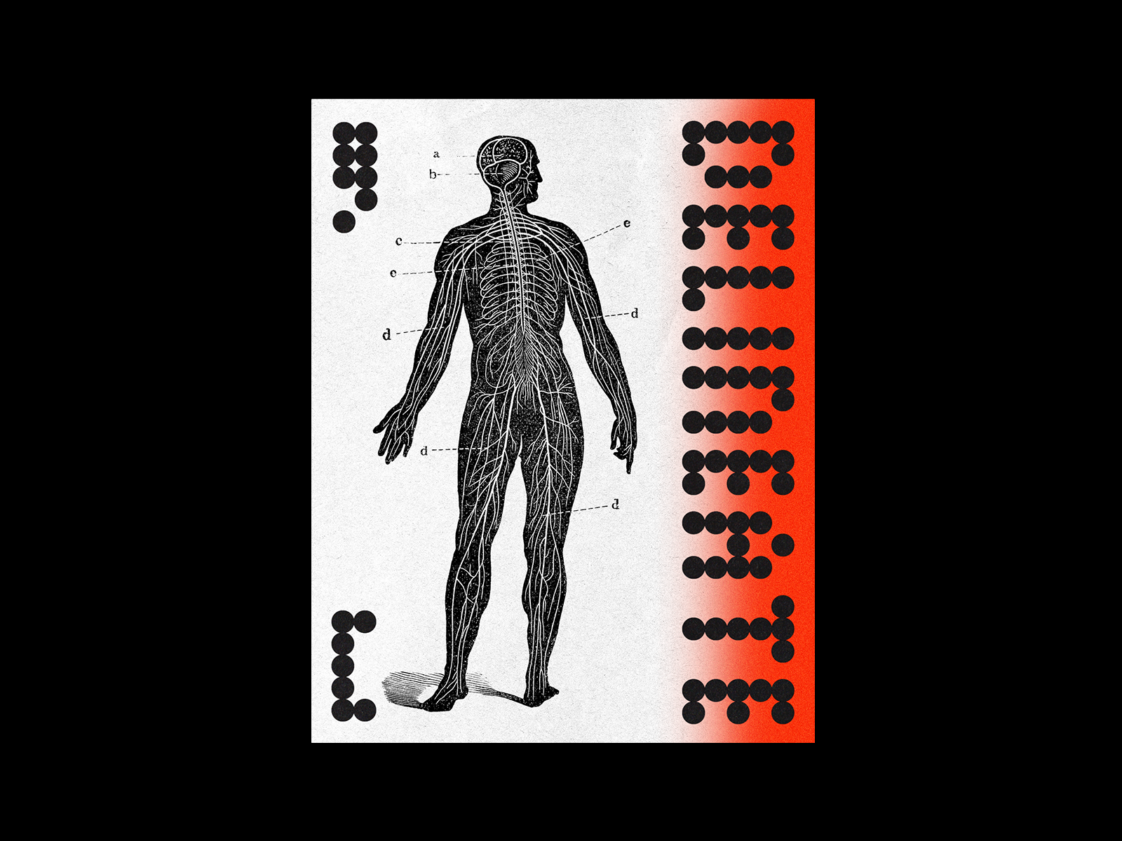 Delineate by HARRY VINCENT on Dribbble