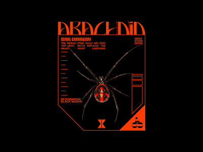 Arachnid black widow brutalism design frame graphic line minimal red spider type typography