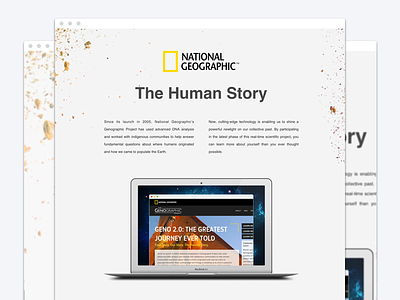National Geographic Geno Project nat geo national geographic web design