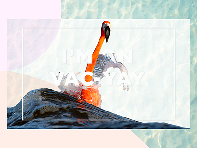 I M On Vac Yay flamingo graphic landing summer ui vacation vacay visual