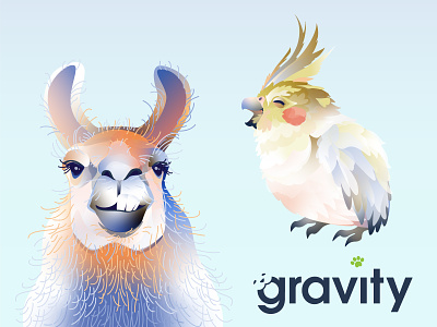 Gravity Payments illustration bird bird illustration cockatiel graphic gravity llama payments visual visual design