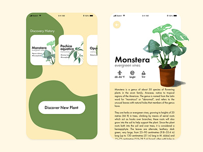 UI Practice 008 - Plant Discovery App dailyui minimalism plant ui