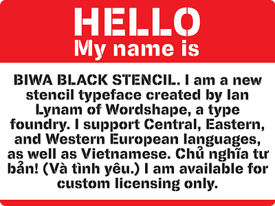 Biwa Stencil Black custom type exclusive font design new type sans stencil type type design