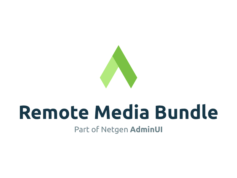 Remote Media Bundle - Select Media admin adobe xd animation blue design grid interface media netgen select ui ui ux ux web