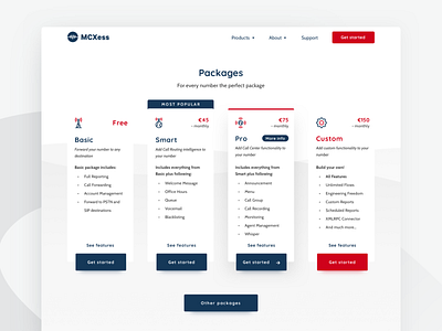 Packages page - Telecommunication company