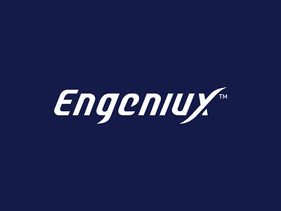 Engeniux branding identity logo logo design logotype software company typography