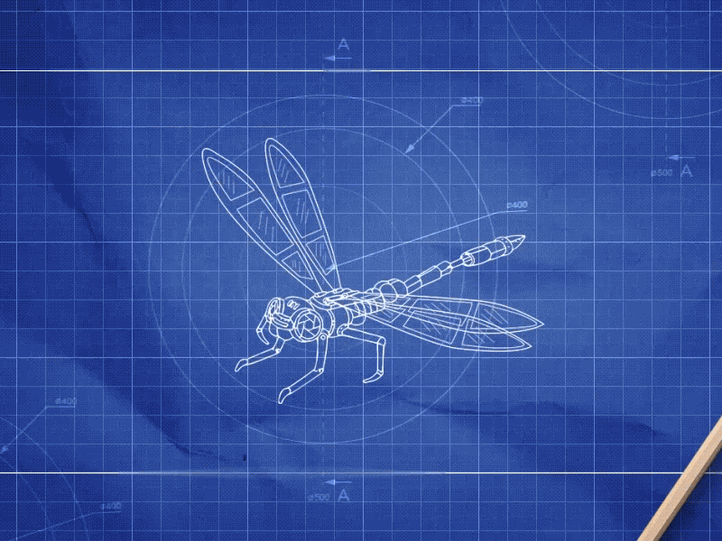Dragonfly animation blueprint bring to life bug dragonfly gif magnifying glass paper search sketch