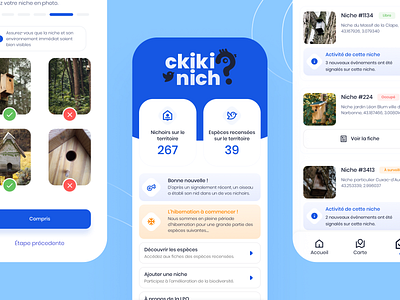 UI Mobile App | Ckikinich? 🪶 android animal animal rights app association birdhouse birds blue clean colors insects interface design ios light mammals mobile ui ui design ux wildlife